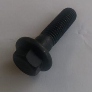 Paraf SEXT. FLANGEADO - 19M7813