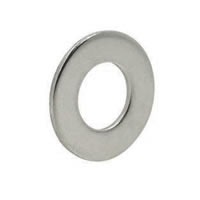 ARRUELA LISA 304 37/60X2 - 6007-1182