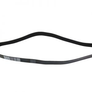 CORREIA MOTOR - 504049425