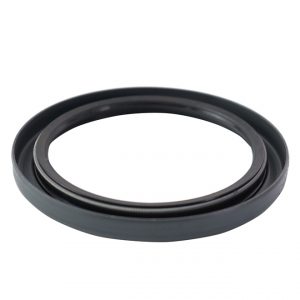 RETENTOR - 6020350266-7