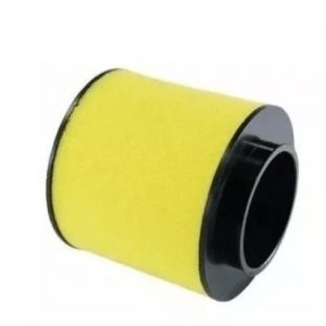 ELEMENTO FILTRO AR - 17254HN1000